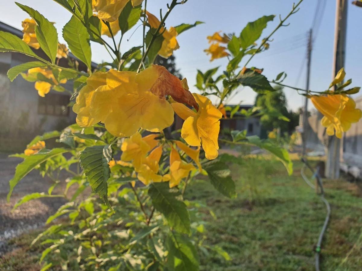 B-Tel Chomthong Resort Chiang Mai Chom Thong Eksteriør bilde
