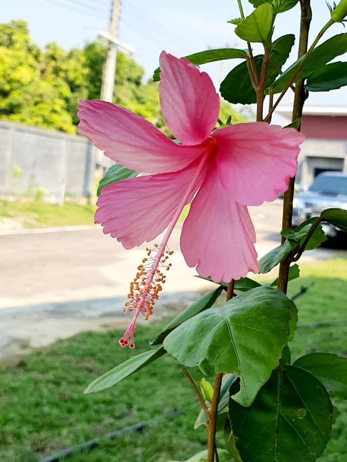 B-Tel Chomthong Resort Chiang Mai Chom Thong Eksteriør bilde